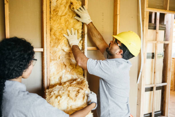 Best Batt and Roll Insulation  in Buckeystown, MD